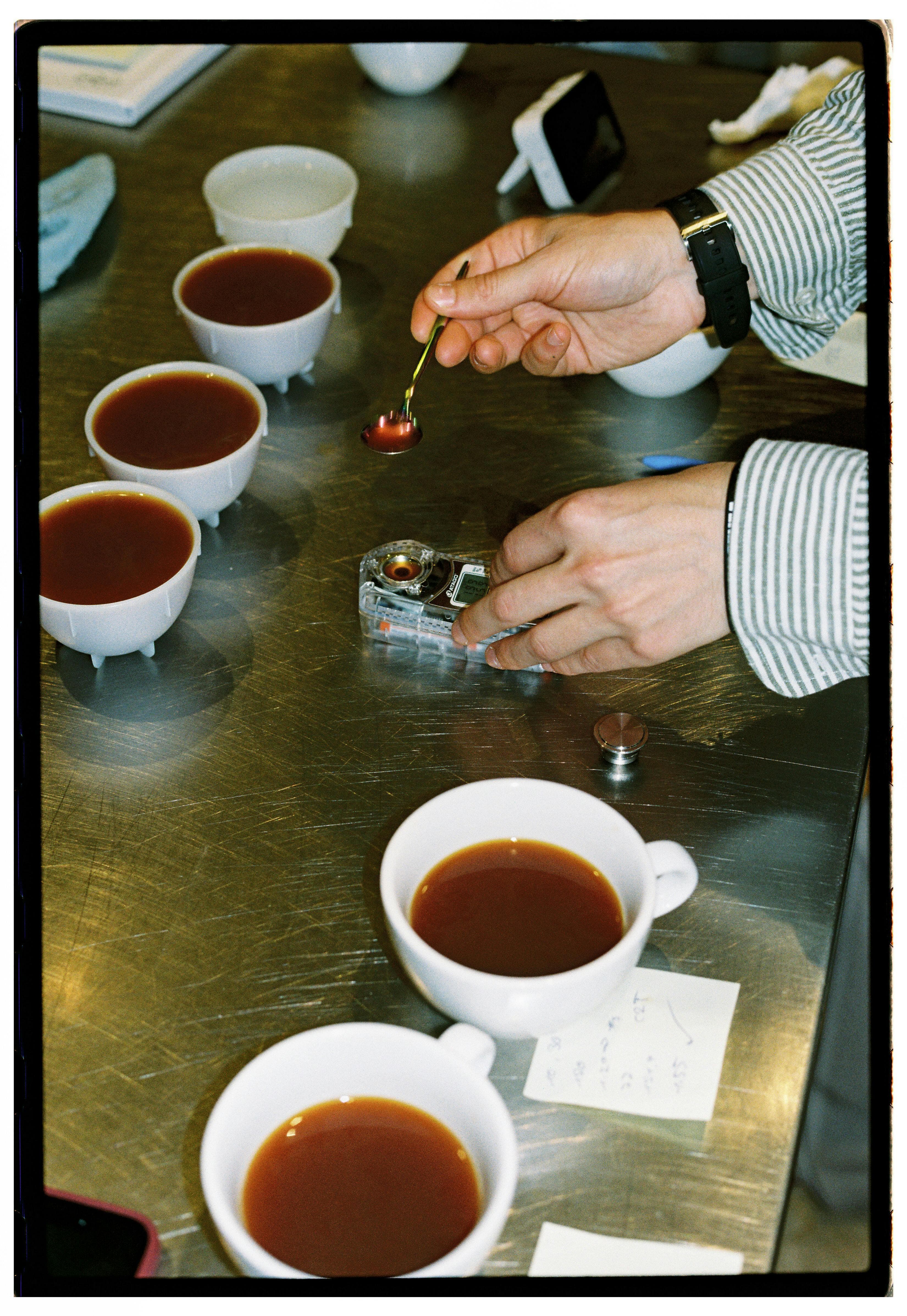 How to Cup Coffee — Barista Hustle Protocol